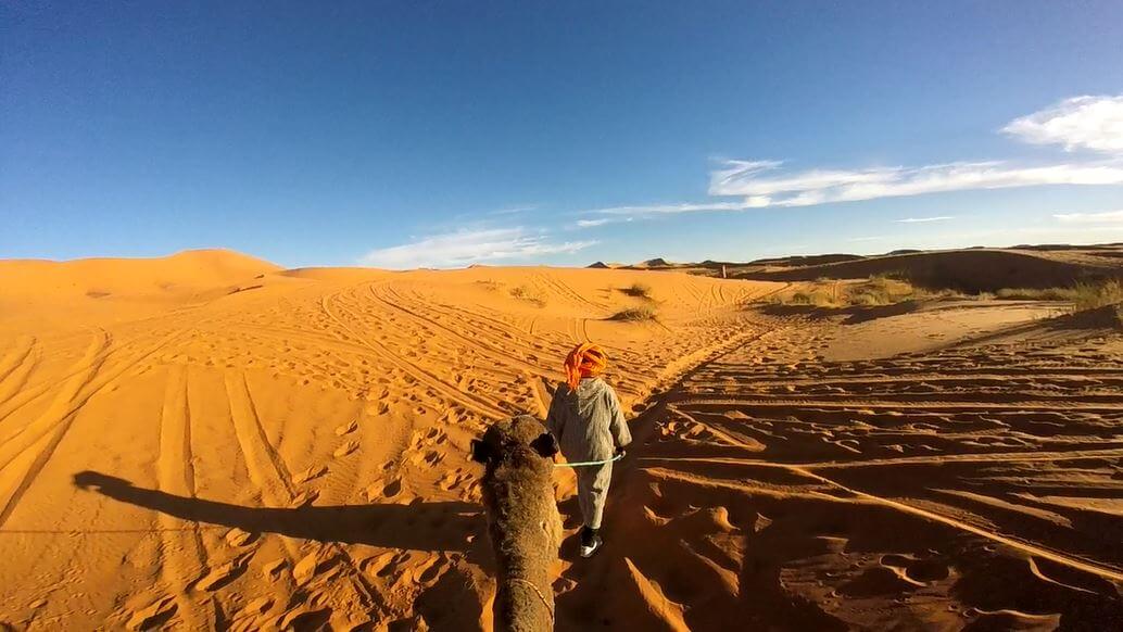 deserto dromedario hassan