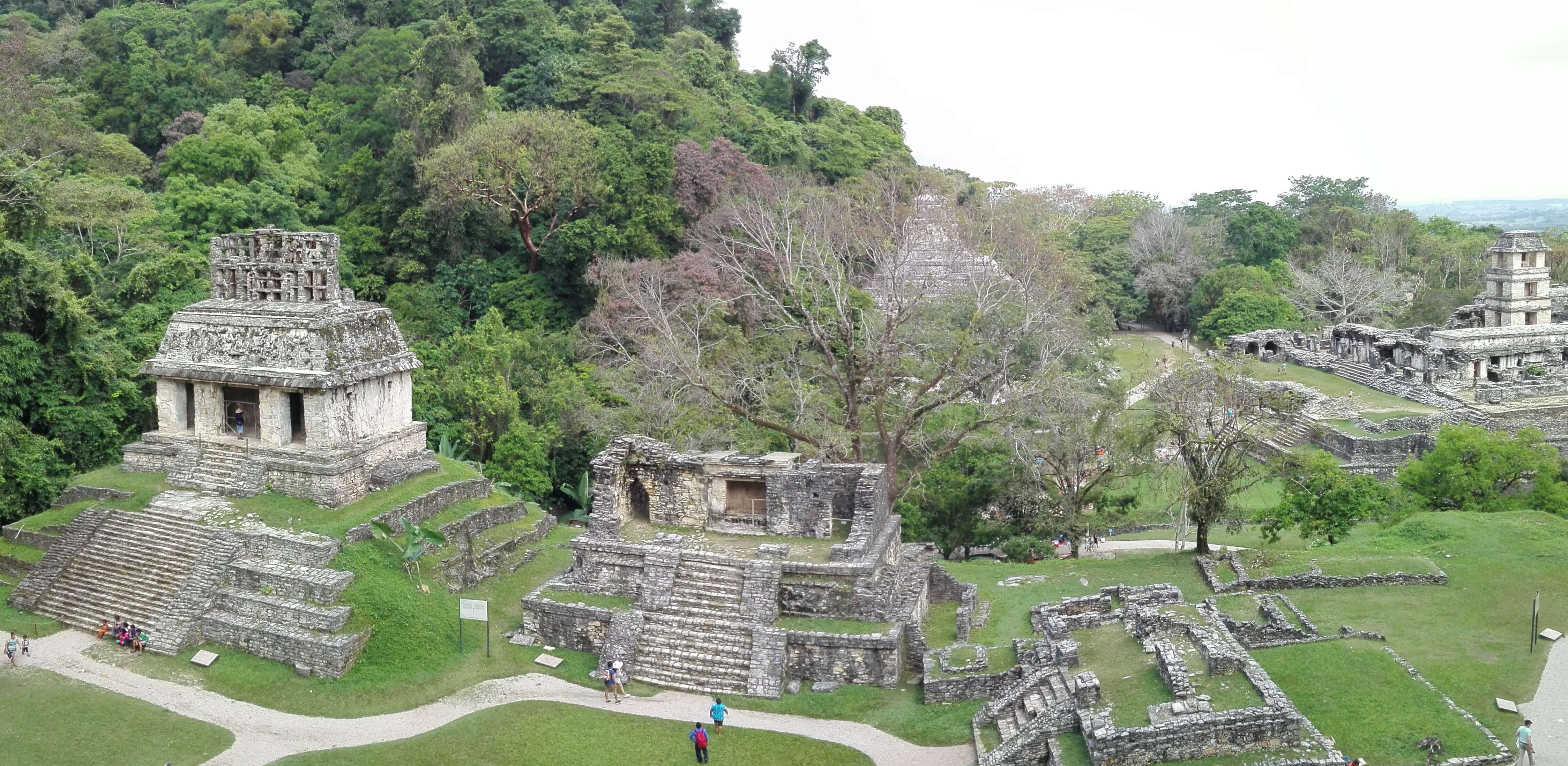 Messico sito archeologico di Palenque